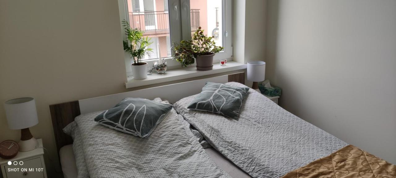 Apartament W Spokojnej Lokalizacji Cieplewo Kültér fotó