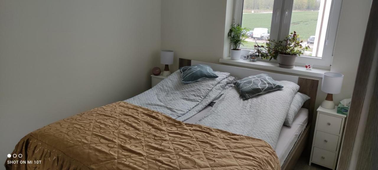Apartament W Spokojnej Lokalizacji Cieplewo Kültér fotó